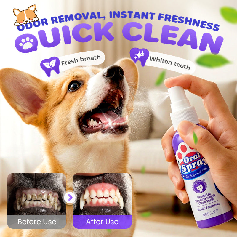 Spray limpiador de dientes de mascotas