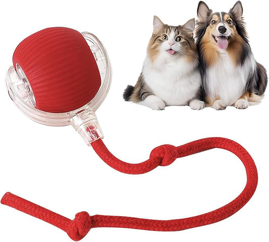 Juguete interactivo para mascotas