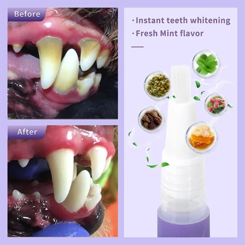 Gel reparador dental para mascotas